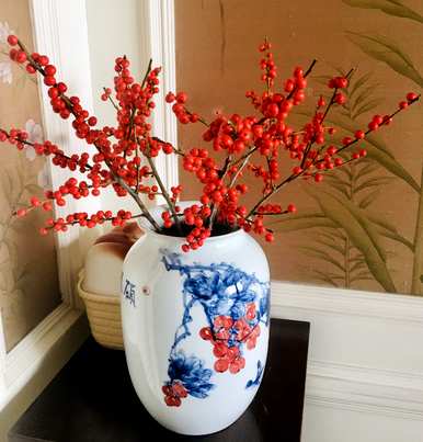 什么植物在阳台上最富有，适合露天阳台植物