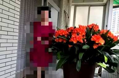 长寿花的品种有哪些？凤尾长寿花有多少种？