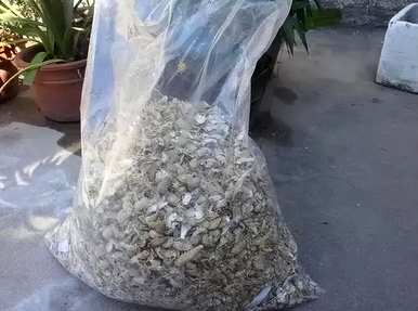 君子兰土是碱性还是酸性？君子兰的特殊土壤配方是什么？