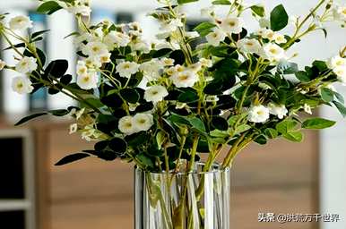 在水中加糖可以延长花期吗？水中加什么可以延长花期？