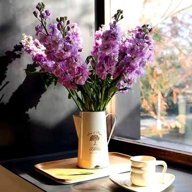 什么花语最惊艳，白色洋桔梗花的花语？