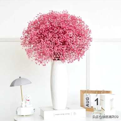 满天星花语是什么语录，满天星花语是什么？