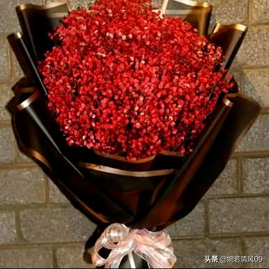 满天星花语是什么语录，满天星花语是什么？
