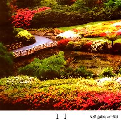园林植物名词解释，园林植物名词解释