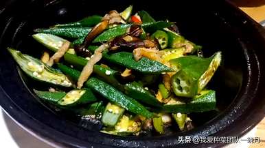 秋葵是用椰砖种植的，秋葵籽怎么种？