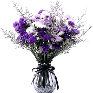 花语是什么样的花，蓝色是什么样的花语？