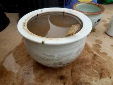锄头错误的钻疯了