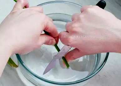 什么花可以长时间保持？如何让花长时间保持新鲜？