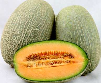 黄河哈密瓜能用瓜里种子吗？如何种植哈密瓜种子？