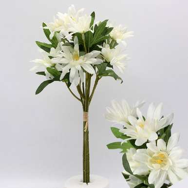 野菊花象征着什么精神，野菊花象征着什么意义